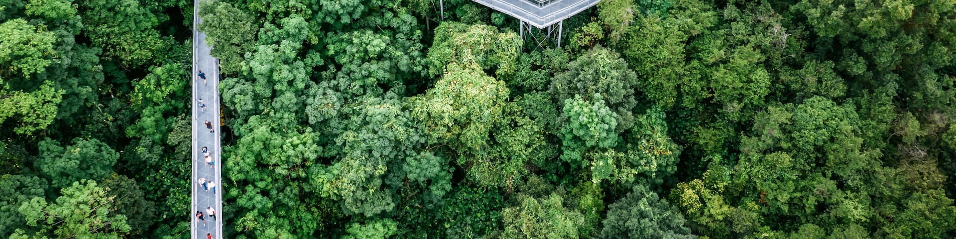 Apr 28/2019 Morning at Telok Blangah Hill Park, Singapore