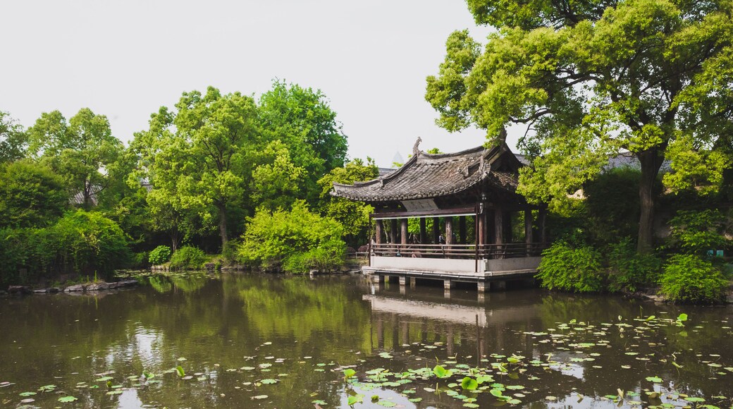 A traditional pavilion by a calm pond with lily pads, surrounded by lush green trees.