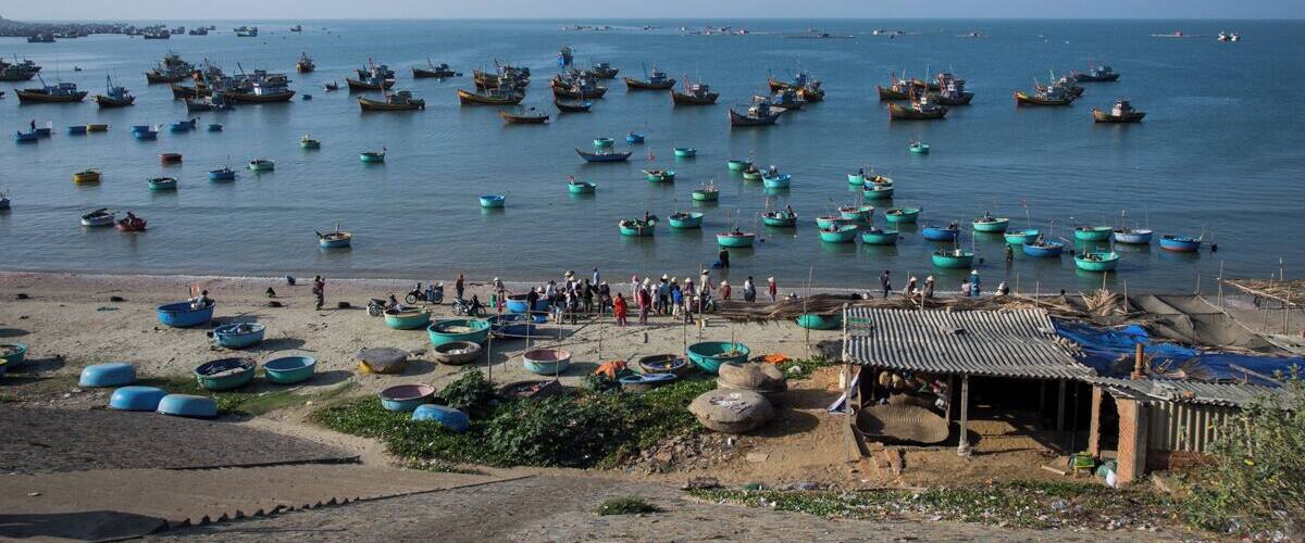 Early in the morning is when the fisherman come back to shore with their boats full of fishes ready to be sold. You can go there to observe the morning action and even buy some fish to cook back at your guesthouse. Fish #market