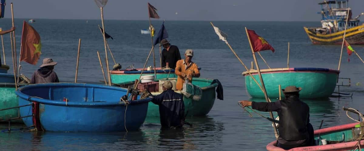 The fisherman village in Mui Ne is very active in the morning, when the fisherman unload their boats on the beach where women start separating, cleaning and selling the fish. The #market is on the beach so that the fish goes straight from the boat to the sellers. It couldn't be more fresh!