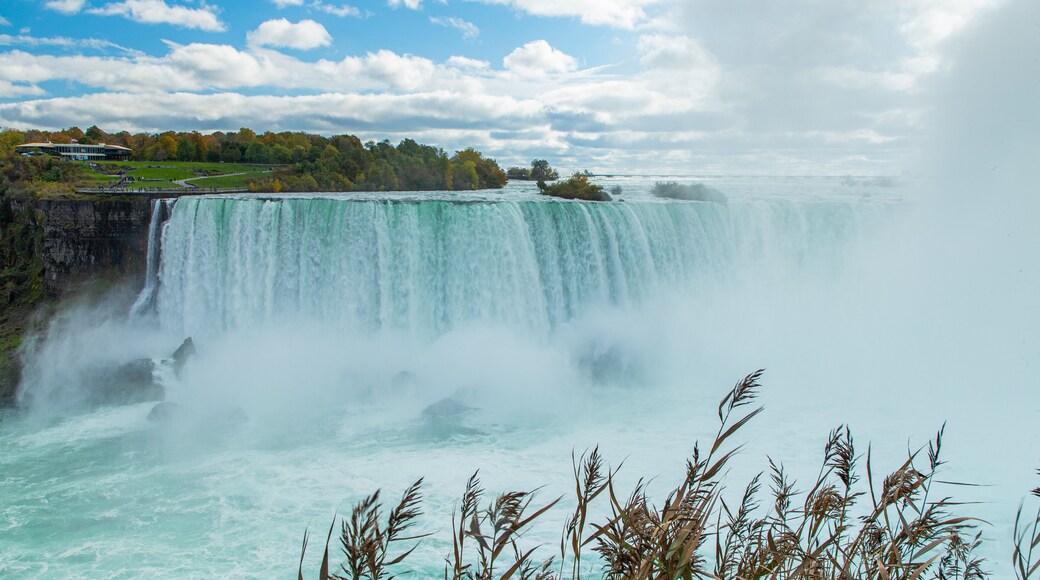Fallsview showing mist or fog and a waterfall