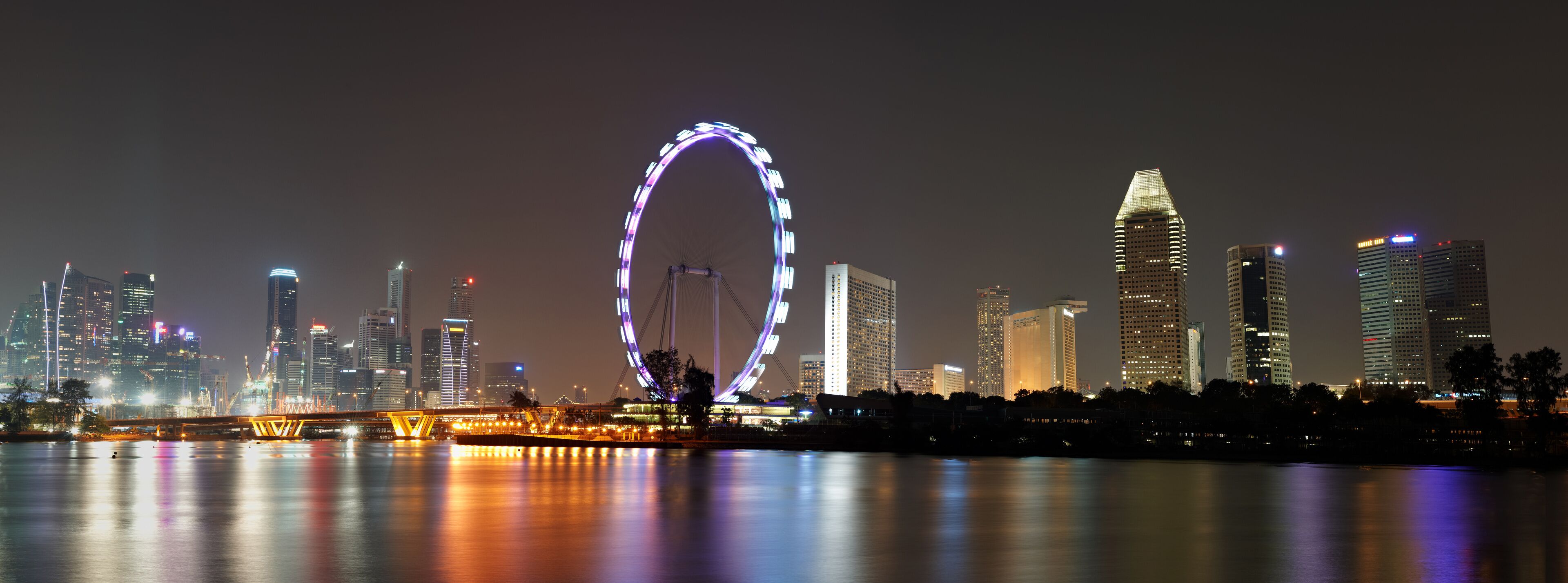 Singapore panorama at night  with wheel