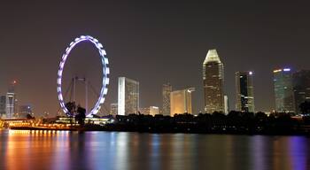 Singapore panorama at night with wheel