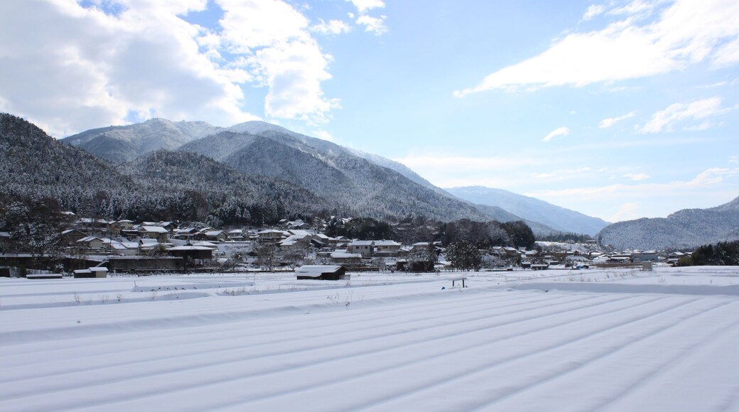 ćŻć
éąä»èżăźéąšæŻ