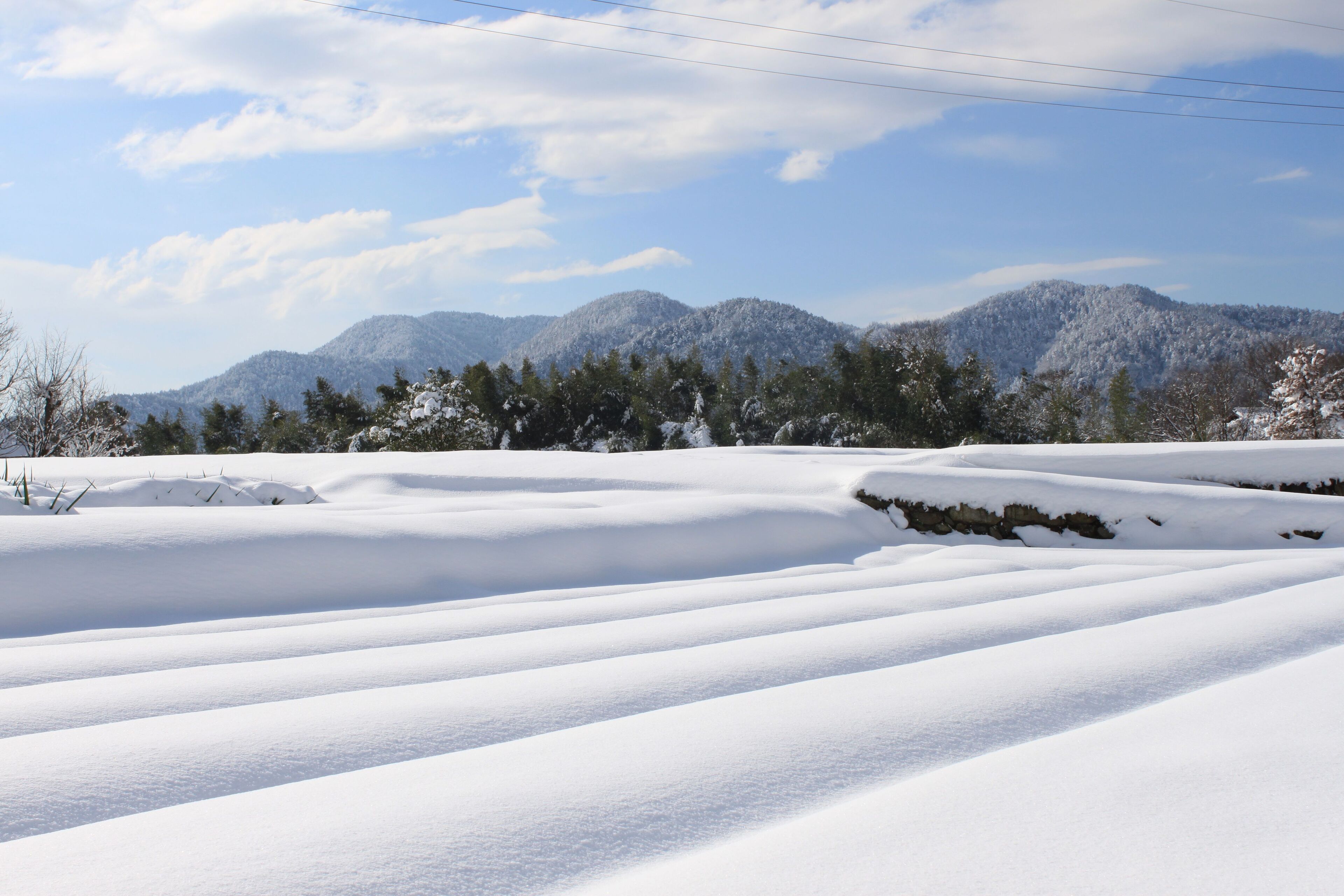 三千院付近の風景