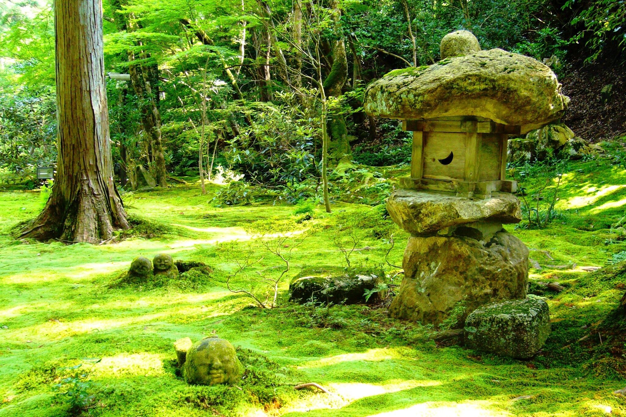 Sanzen-in, Yusei-en (Garden) -2 (July 2011)