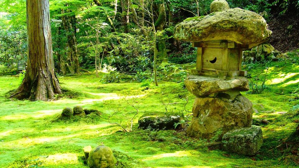A moss-covered stone structure in a lush forest.