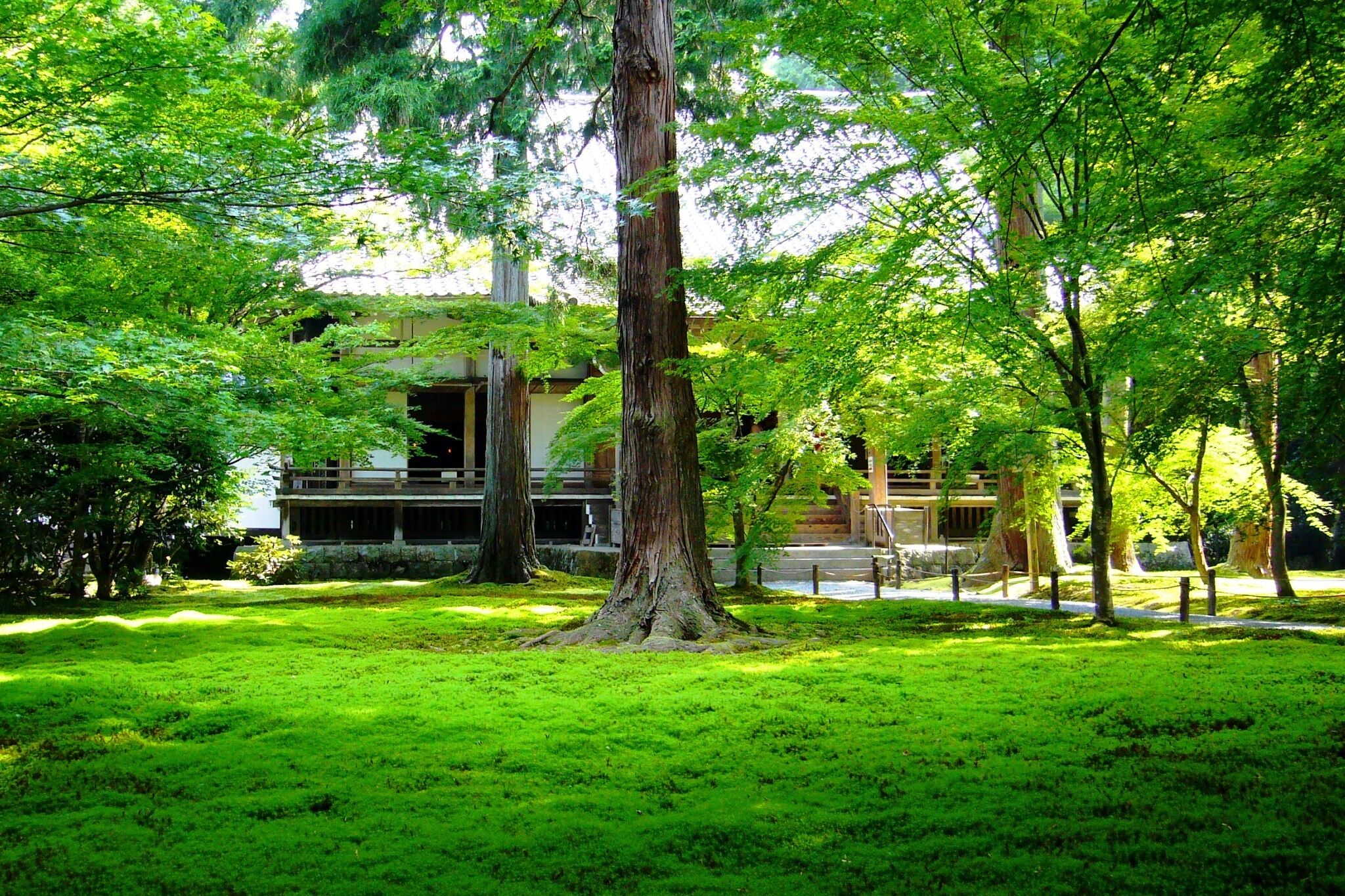 Sanzen-in, Yusei-en (Garden) -1 (July 2011)