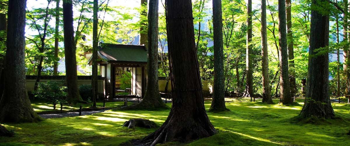 残暑に包まれる三千院(Sanzen-in at late summer) 22 Aug, 2016