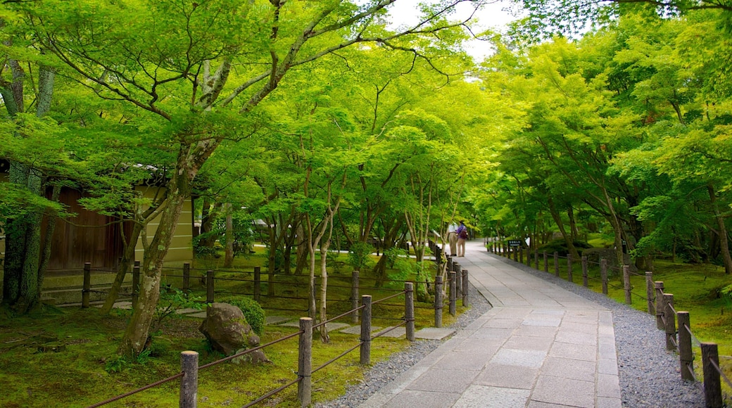 Okazaki showing a garden