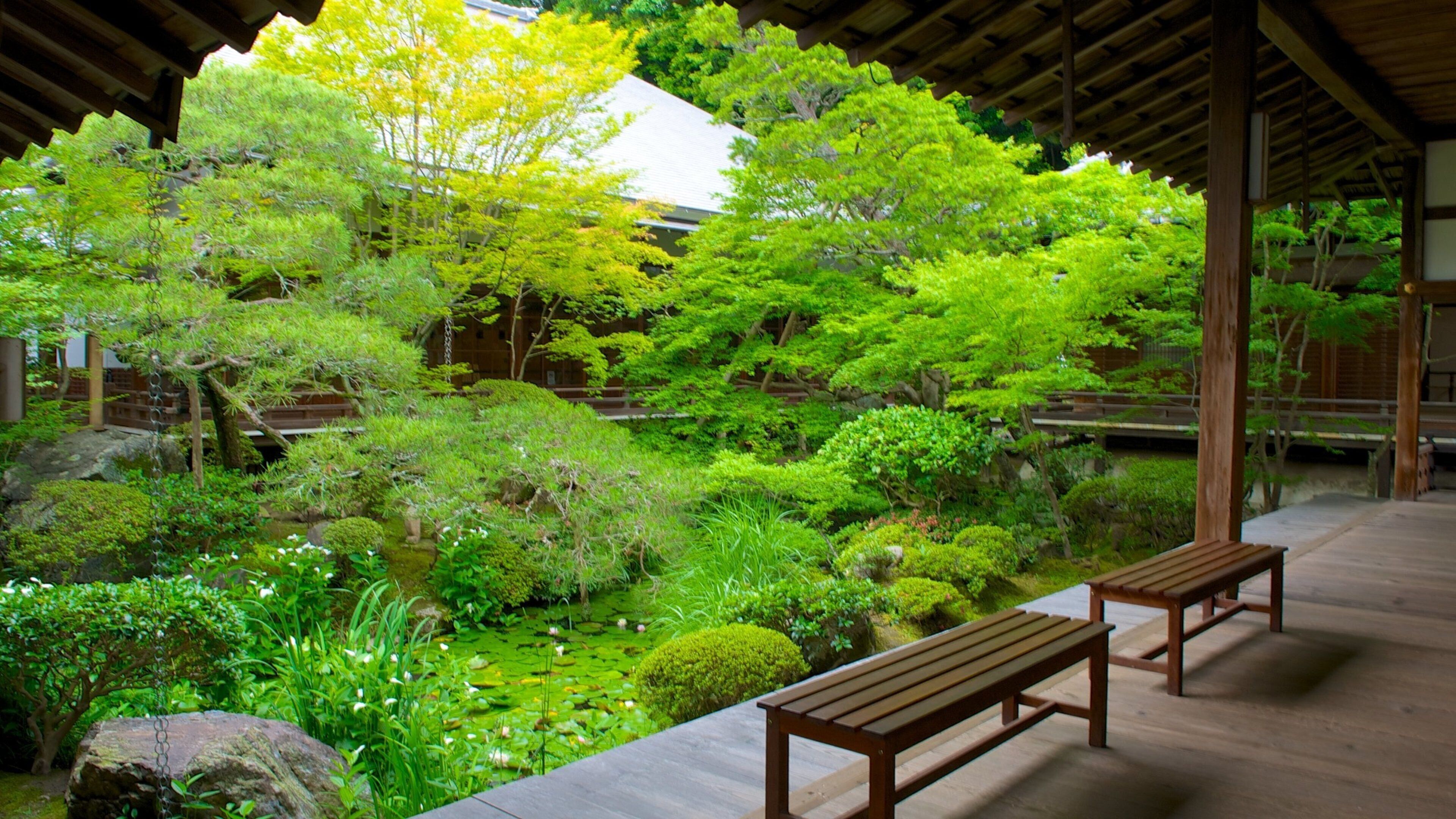 Eikando Temple showing religious aspects, a temple or place of worship and a garden
