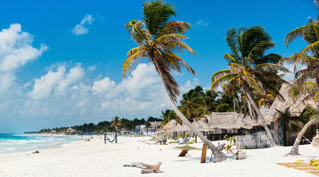 Beautiful Caribbean coast in Tulum Mexico