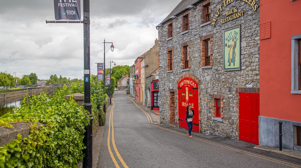 Kilkenny City Centre showing street scenes and heritage elements