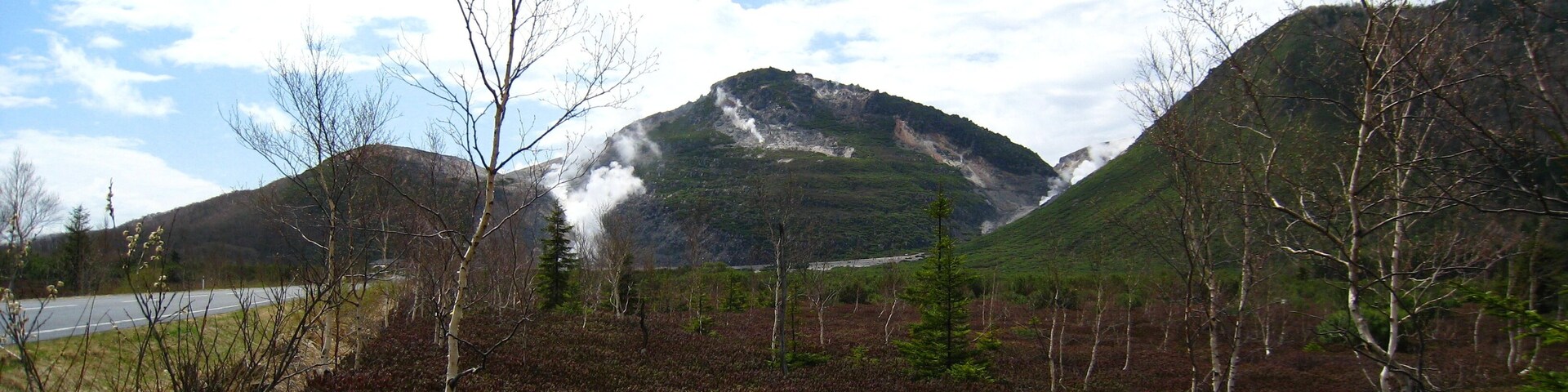 Ledum palustre (marsh tea) and Mount Io (Atosanupuri)