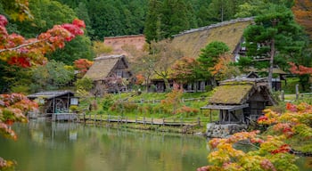 Hida Takayama Onsen which includes a small town or village and a pond