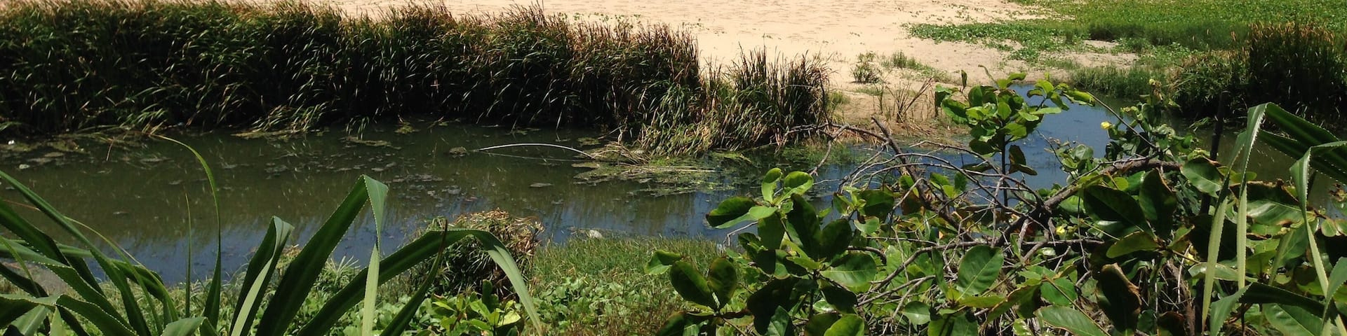 八寶公主廟前墾丁大灣