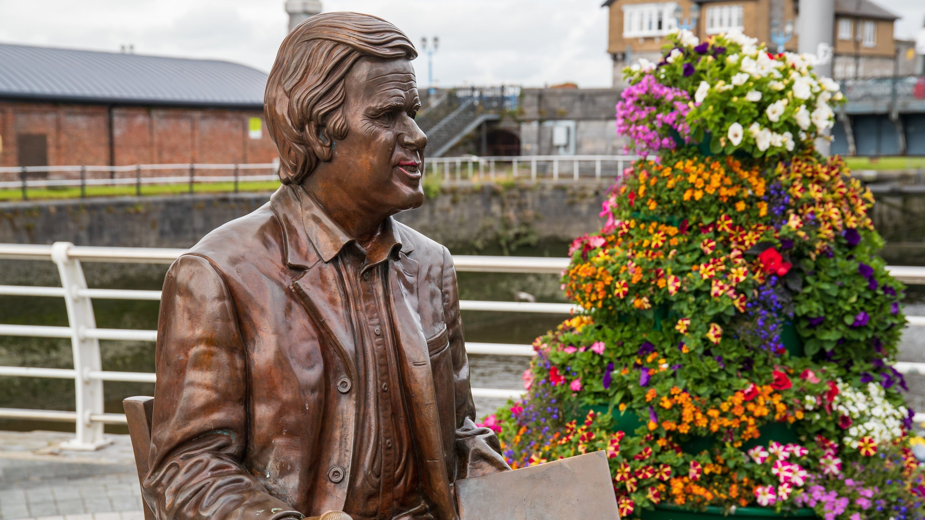 Limerick City Centre which includes flowers and a statue or sculpture