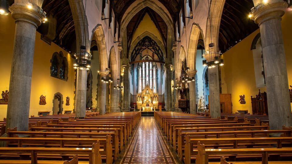 Limerick City Centre showing heritage elements, interior views and a church or cathedral