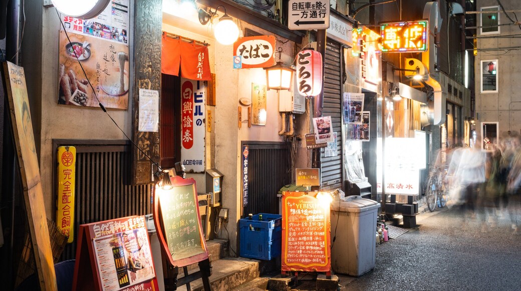 Kanda featuring night scenes and signage
