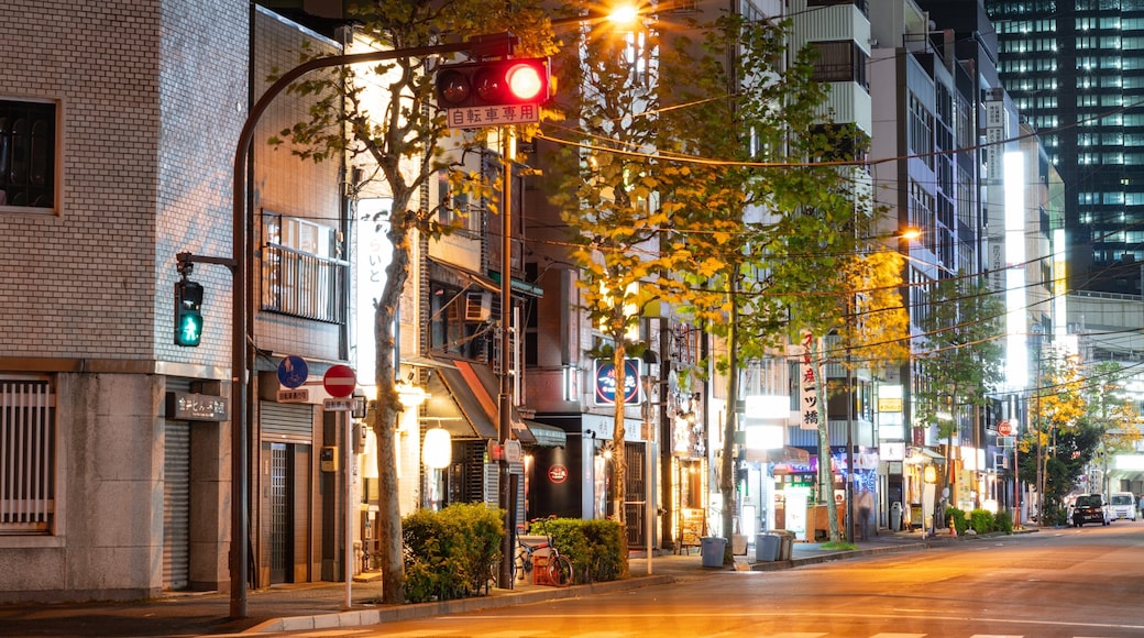 Kanda featuring a city, street scenes and night scenes