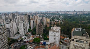 Un paisaje urbano con rascacielos, un río y una cadena montañosa distante.