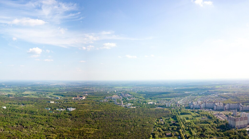 ホロシーウシクイ