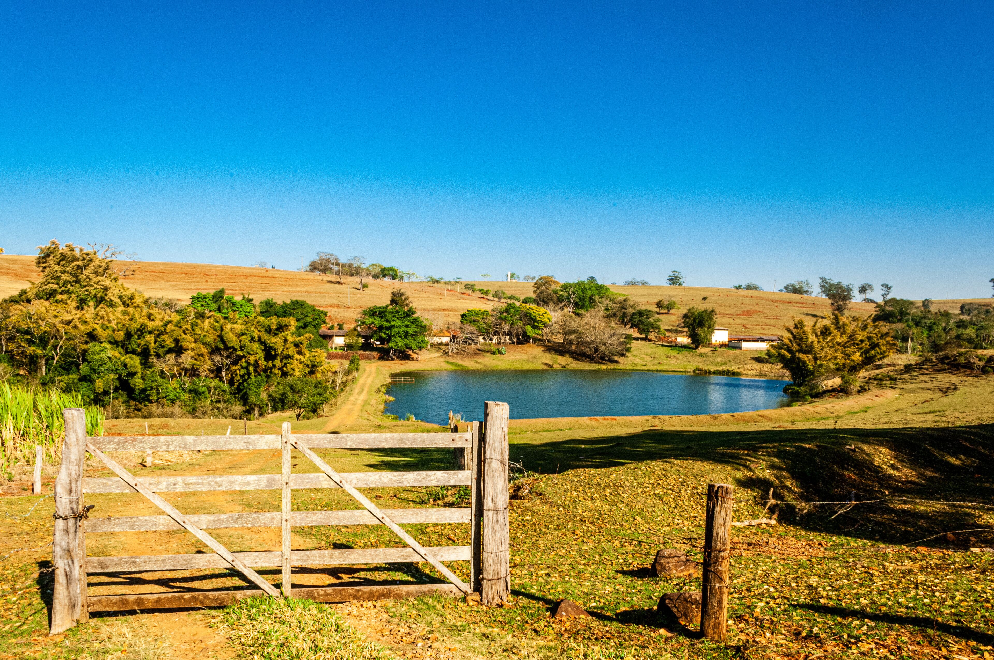 カーザ ヴェルデ