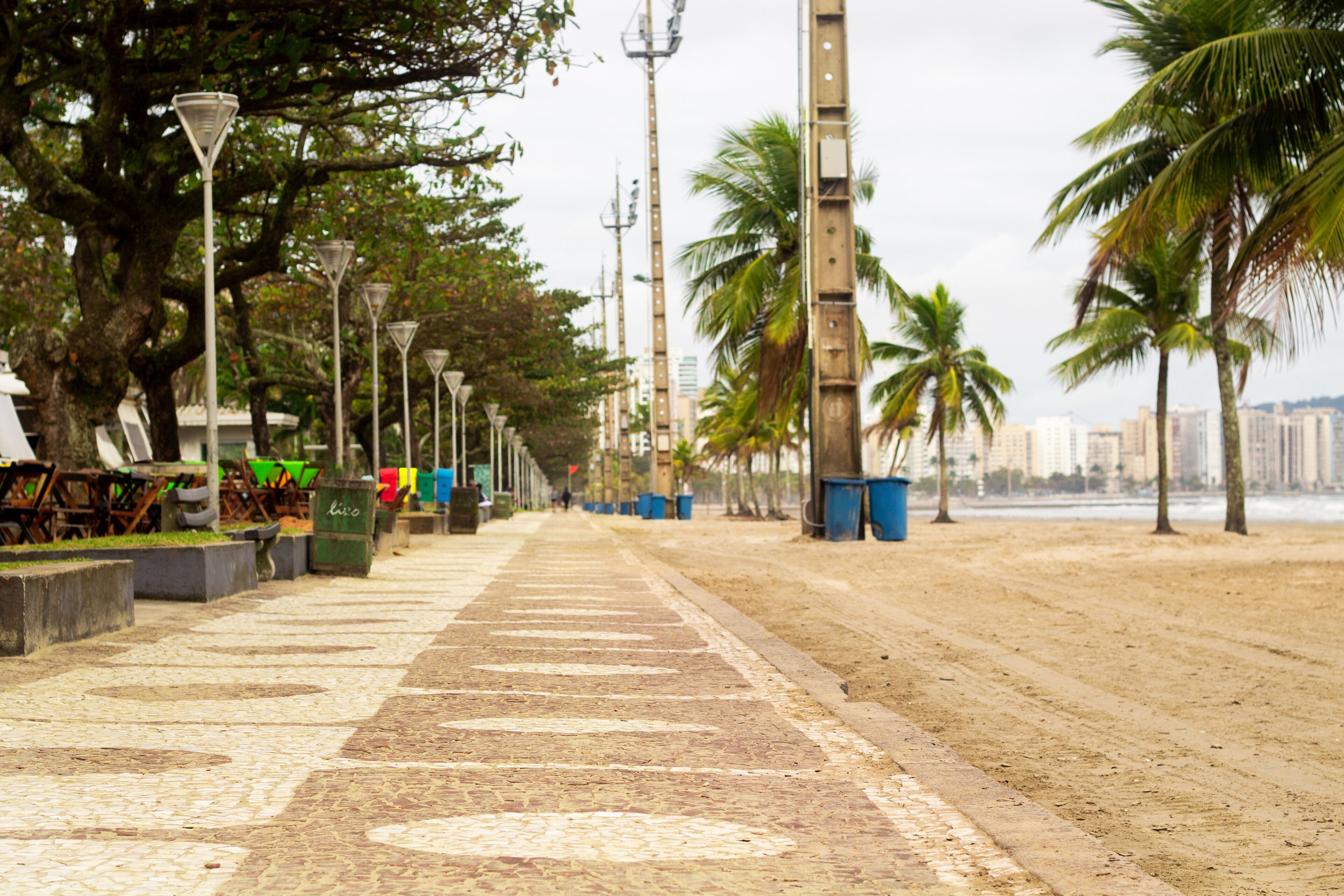 カーザ ヴェルデ