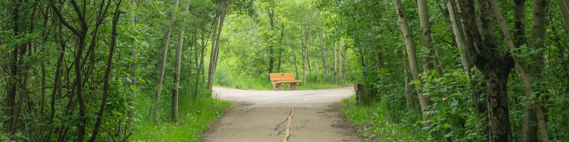 Mill Creek Ravine - Edmonton, Alberta, Canada - Cloudy day - Bike paths - Park