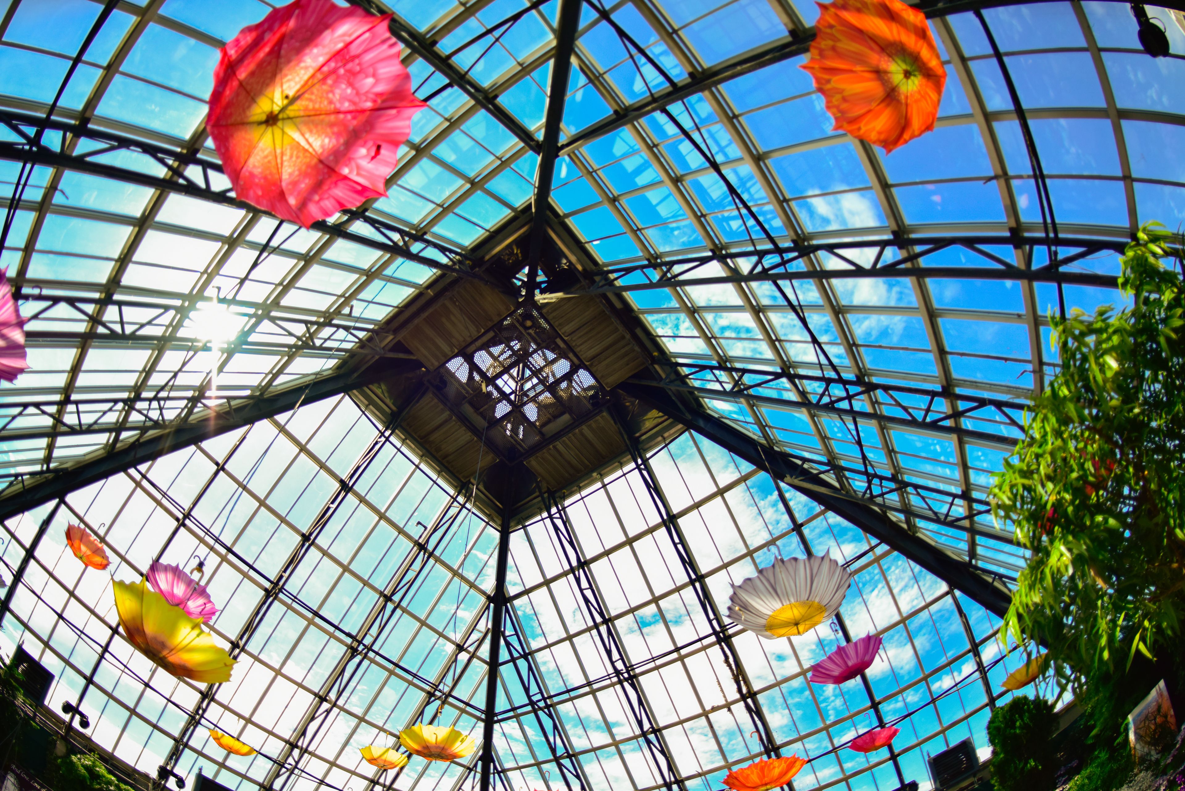 sombrillas de colores rosa, amarillo, naranja, con forma de flores, entro del Muttart Conservatory, en la ciudad de Edmonton, Alberta Canadá, con un cielo azul nubes blancas.