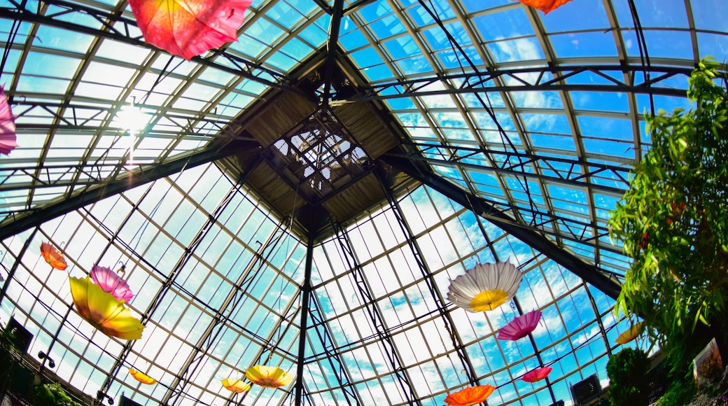 sombrillas de colores rosa, amarillo, naranja, con forma de flores, entro del Muttart Conservatory, en la ciudad de Edmonton, Alberta Canadá, con un cielo azul nubes blancas.