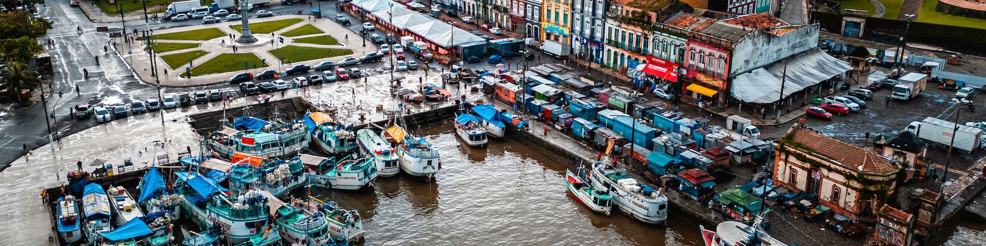 A bustling harbor with numerous boats docked, a prominent church with twin spires, and a wide river with a green park area.