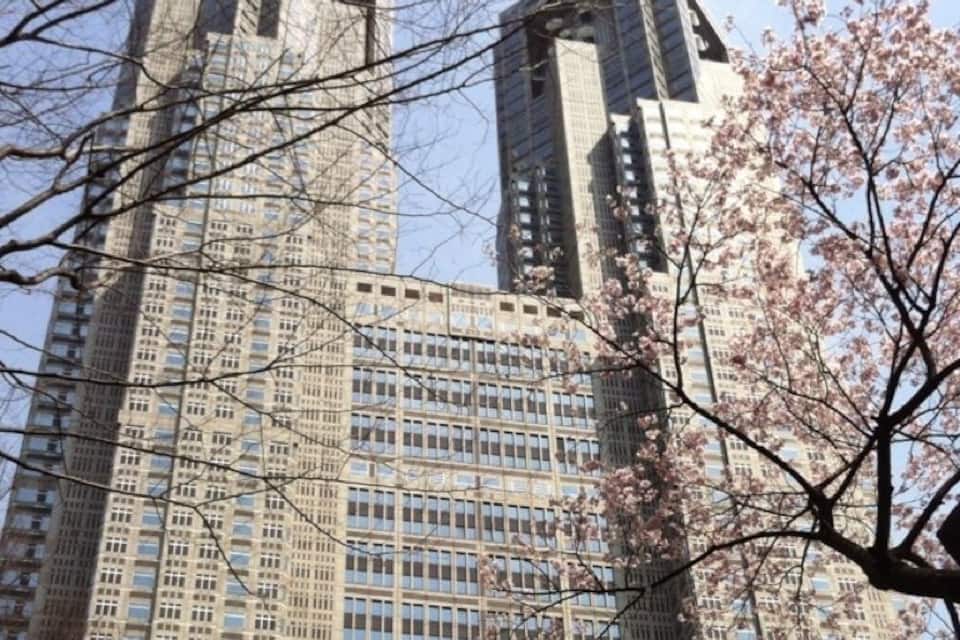 Un grand immeuble avec de nombreuses fenêtres et, au premier plan, un arbre en fleurs roses.