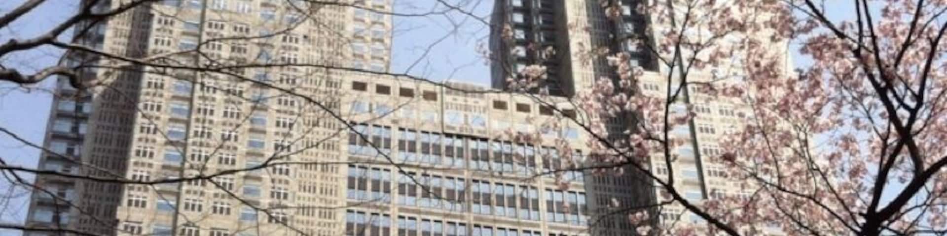 Metropolitan Government Building, Shinjuku, Tokyo #TroveonTuesday