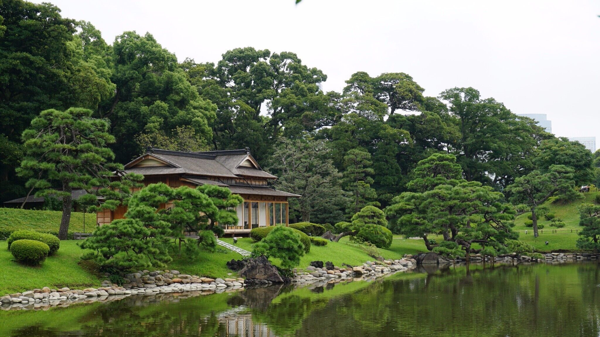 Heaven in Hamiruku Gardens, Tokyo, Japan

Not sure what to do in Tokyo? Take a look at thelittlegreenjournal.com, to create a list of top things you must see in Tokyo.