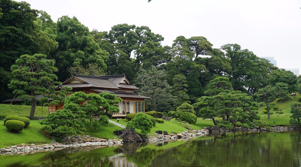 Heaven in Hamiruku Gardens, Tokyo, Japan
Not sure what to do in Tokyo? Take a look at thelittlegreenjournal.com, to create a list of top things you must see in Tokyo.