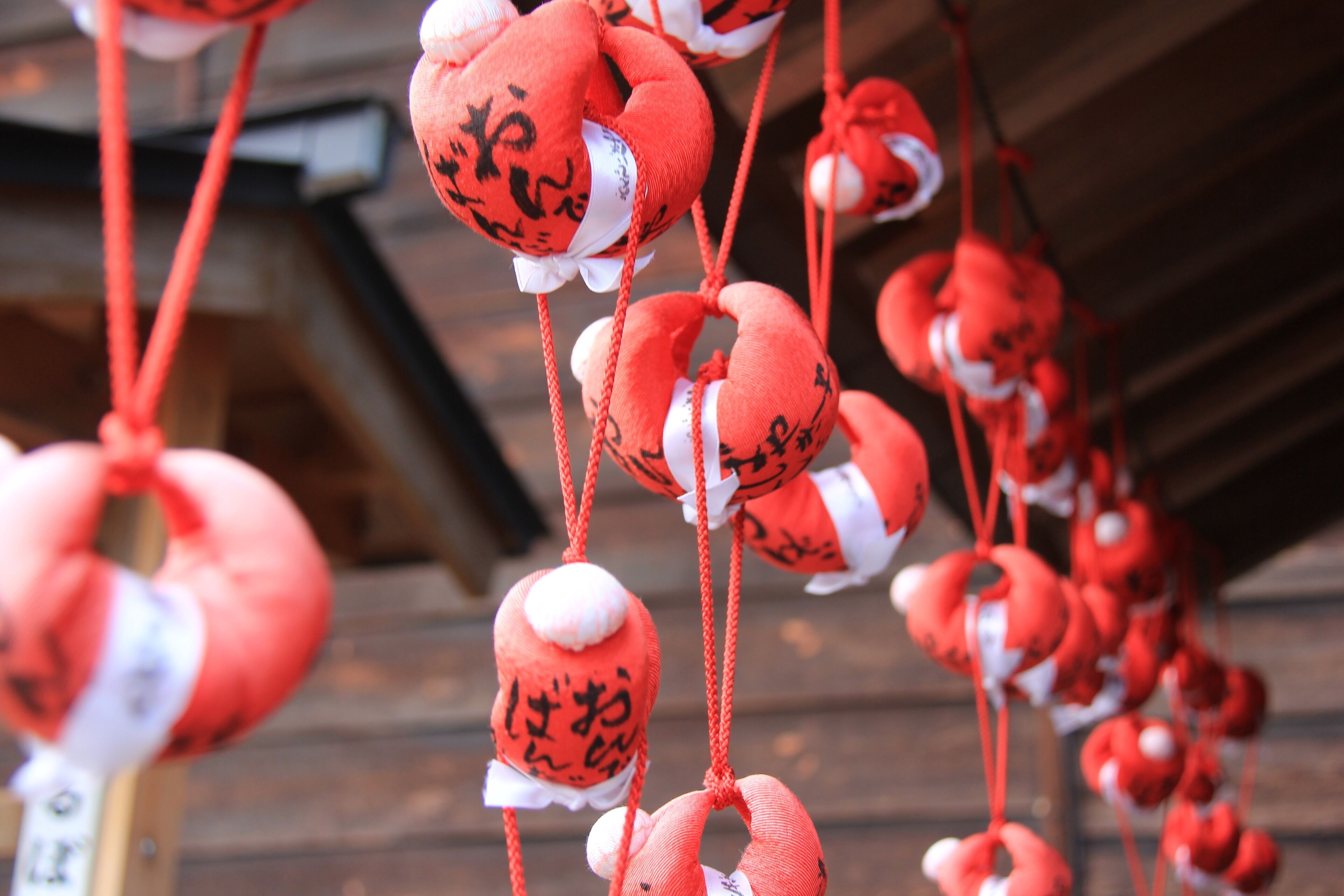 Japan 日本 
Japan is an earth zen country yet surprisingly red seen to be the main color orient around the country- ❤️😘Japan #red #travel #hiking #Asia #art 
#nationalpark #temple 