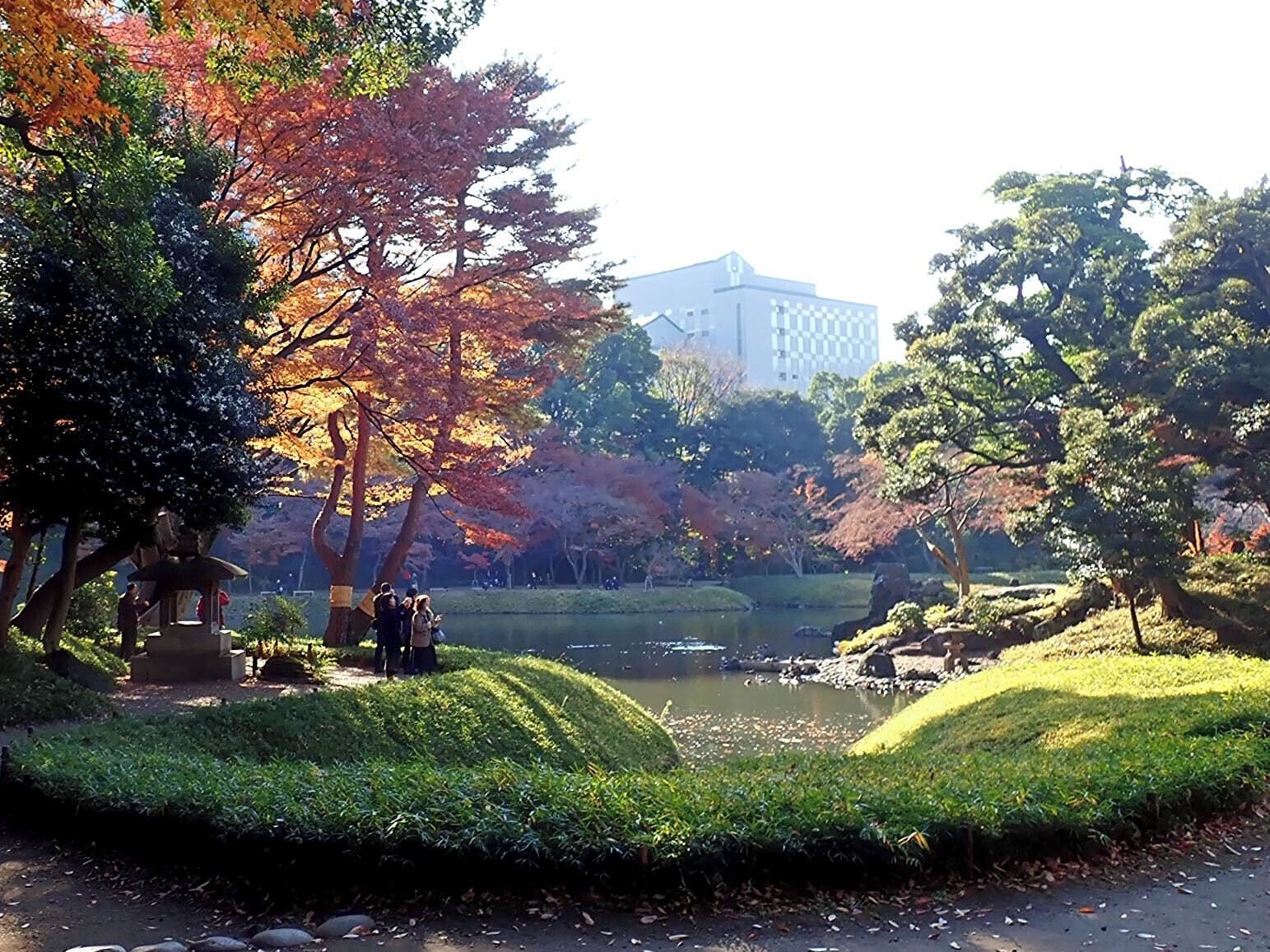 autumn colours of leaves at Koishikawa Kourakuen
