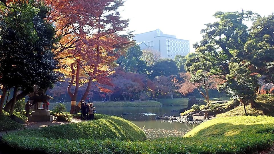 autumn colours of leaves at Koishikawa Kourakuen