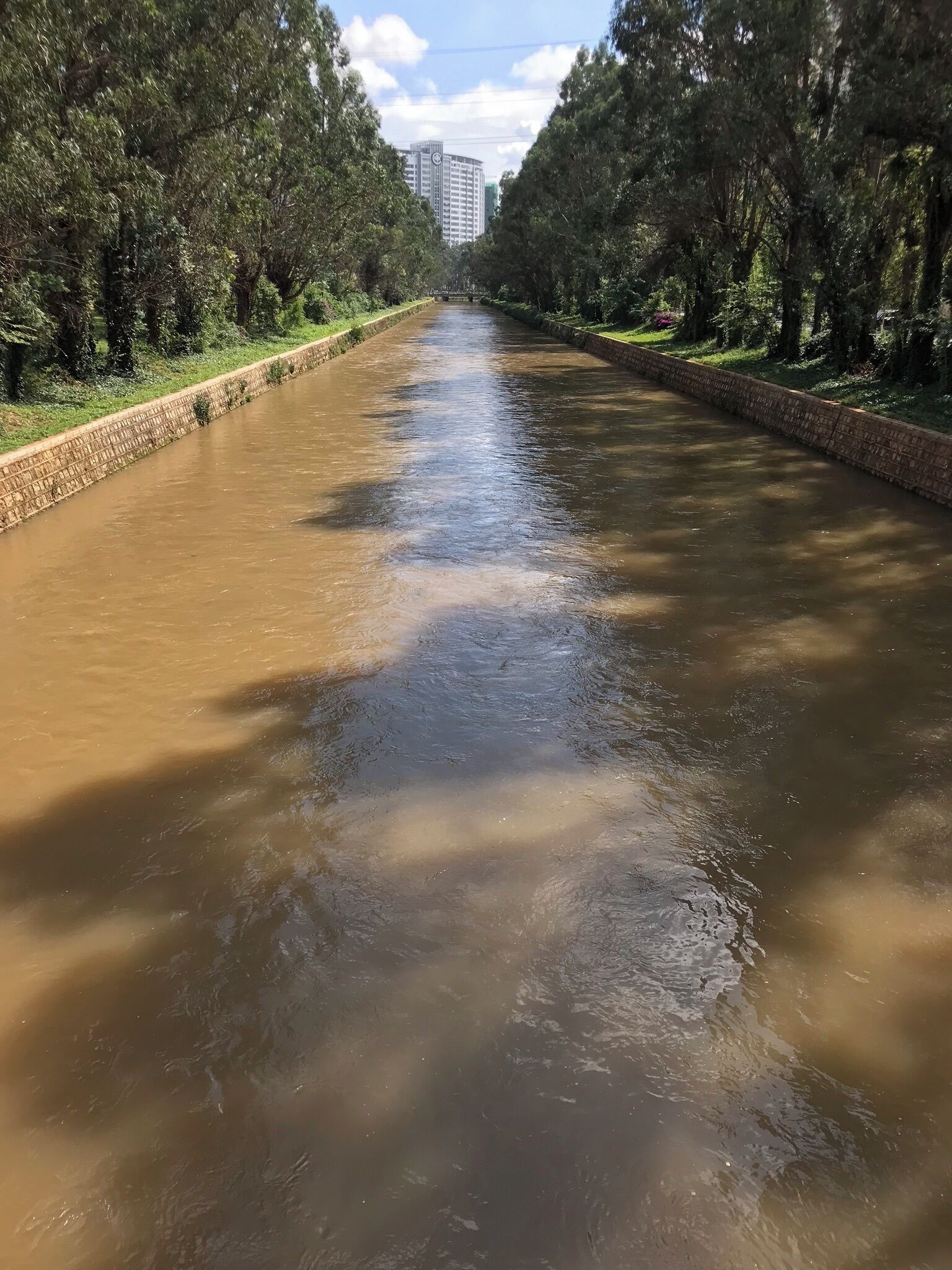 Un río con un muro de ladrillo a un lado y árboles al otro.