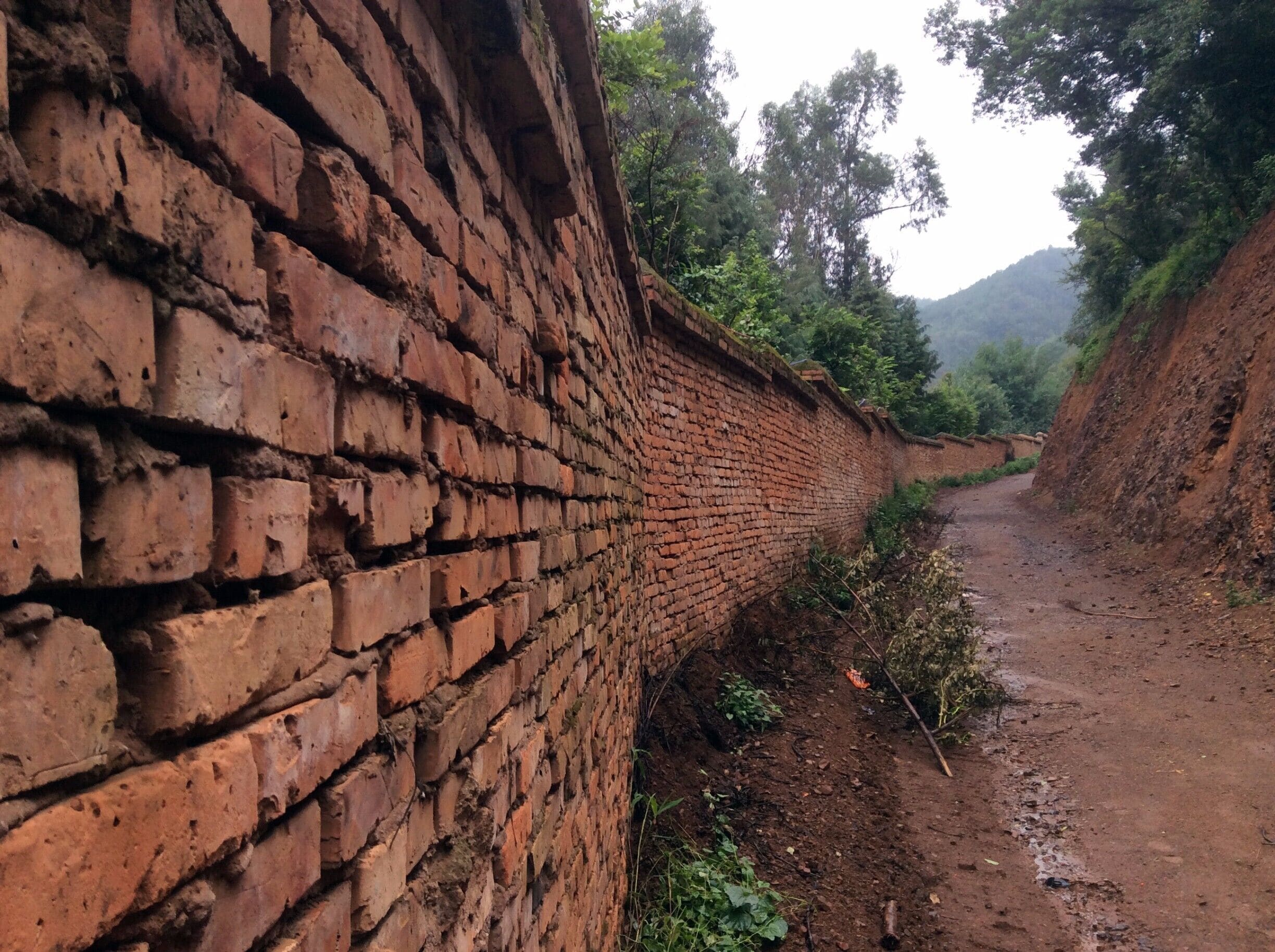 As you walk up the road from Shangbacun (actually talked to a local yesterday who said the name of the town is Shangmacun, but on Google maps it is Shangbacun), there are different roads shooting off into different areas all of which end up in dead ends of nowhere in particular...just my kind of place.

I don't know why I like to take pictures like this...something about the lines of perspective:  the wall, road and forest converging into a point in the unknown distance.  A winding earthy invitation to spend a little time with your thoughts.