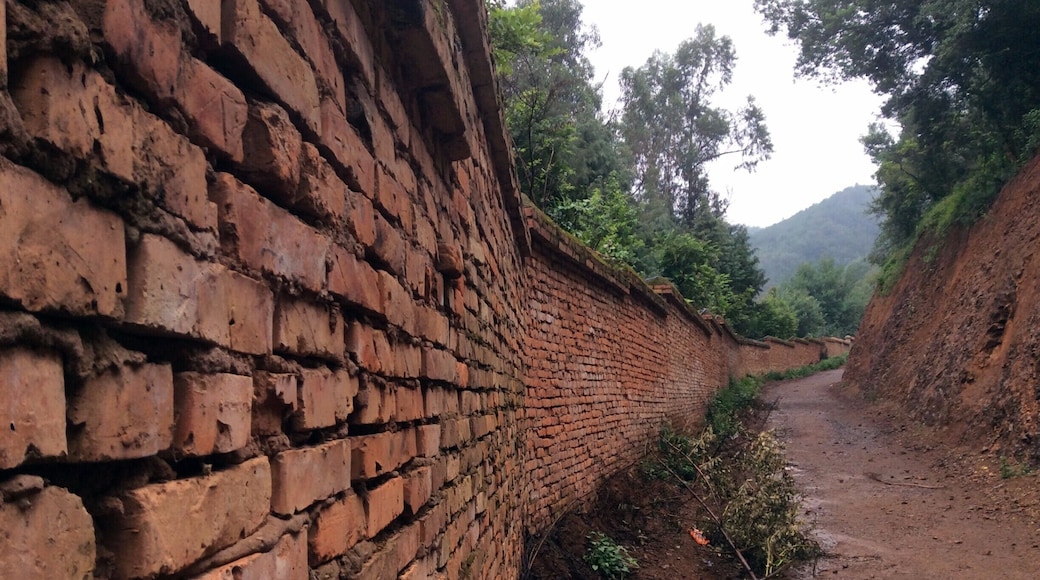 As you walk up the road from Shangbacun (actually talked to a local yesterday who said the name of the town is Shangmacun, but on Google maps it is Shangbacun), there are different roads shooting off into different areas all of which end up in dead ends of nowhere in particular...just my kind of place.
I don't know why I like to take pictures like this...something about the lines of perspective: the wall, road and forest converging into a point in the unknown distance. A winding earthy invitation to spend a little time with your thoughts.