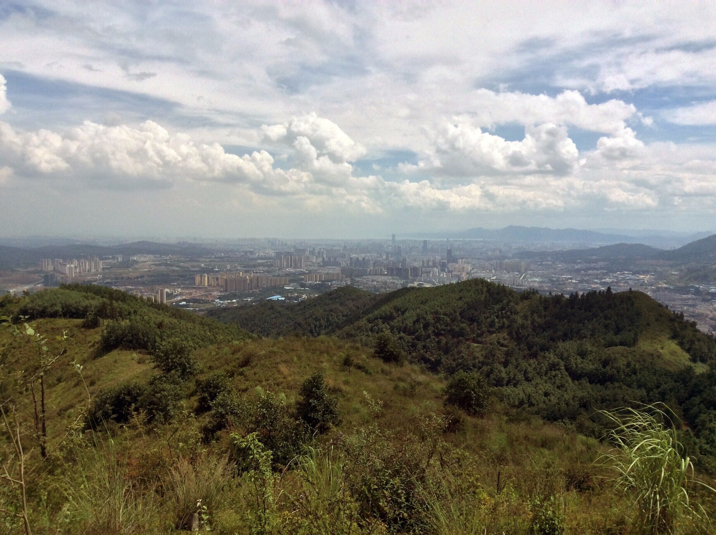 I dream, therefore I think I am - Rene Descartes' half cousin

There are some days when I just wish I was a blade of grass swaying in the wind listening only to the whispers of the mitochondrial horde tweeting the afternoon away.