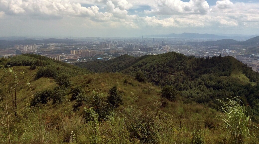 I dream, therefore I think I am - Rene Descartes' half cousin
There are some days when I just wish I was a blade of grass swaying in the wind listening only to the whispers of the mitochondrial horde tweeting the afternoon away.