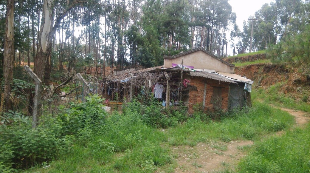 I rode my bike up a mountain path behind the Forestry College. Near the top, there was this little hut that I guess some of the students stay at. Behind the hut, there are some yak, reindeer and other assorted wild game. Not sure what it was all about, but a nice peaceful place only about 20-30 minutes from my post modernist habitation in Kunming