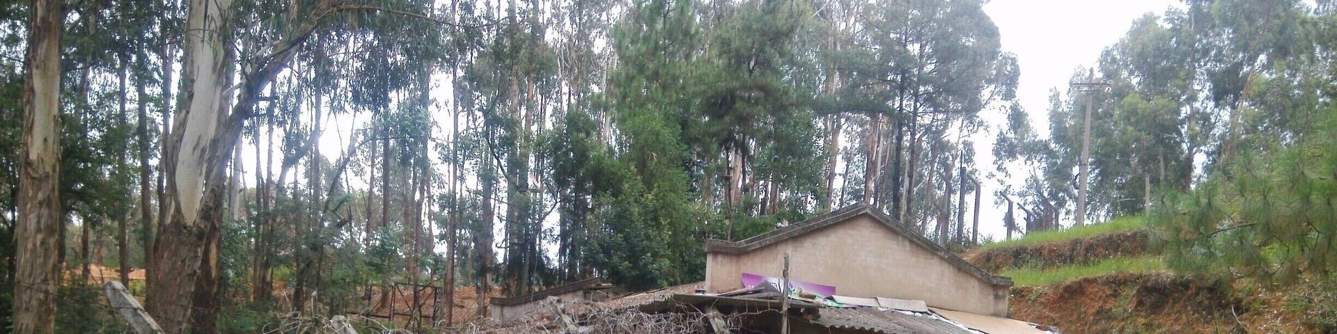 I rode my bike up a mountain path behind the Forestry College. Near the top, there was this little hut that I guess some of the students stay at. Behind the hut, there are some yak, reindeer and other assorted wild game. Not sure what it was all about, but a nice peaceful place only about 20-30 minutes from my post modernist habitation in Kunming