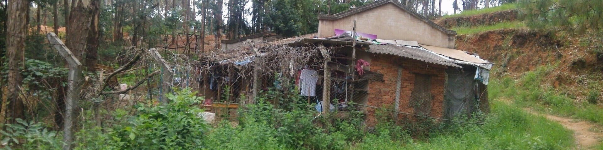 I rode my bike up a mountain path behind the Forestry College.  Near the top, there was this little hut that I guess some of the students stay at.  Behind the hut, there are some yak, reindeer and other assorted wild game.  Not sure what it was all about, but a nice peaceful place only about 20-30 minutes from my post modernist habitation in Kunming