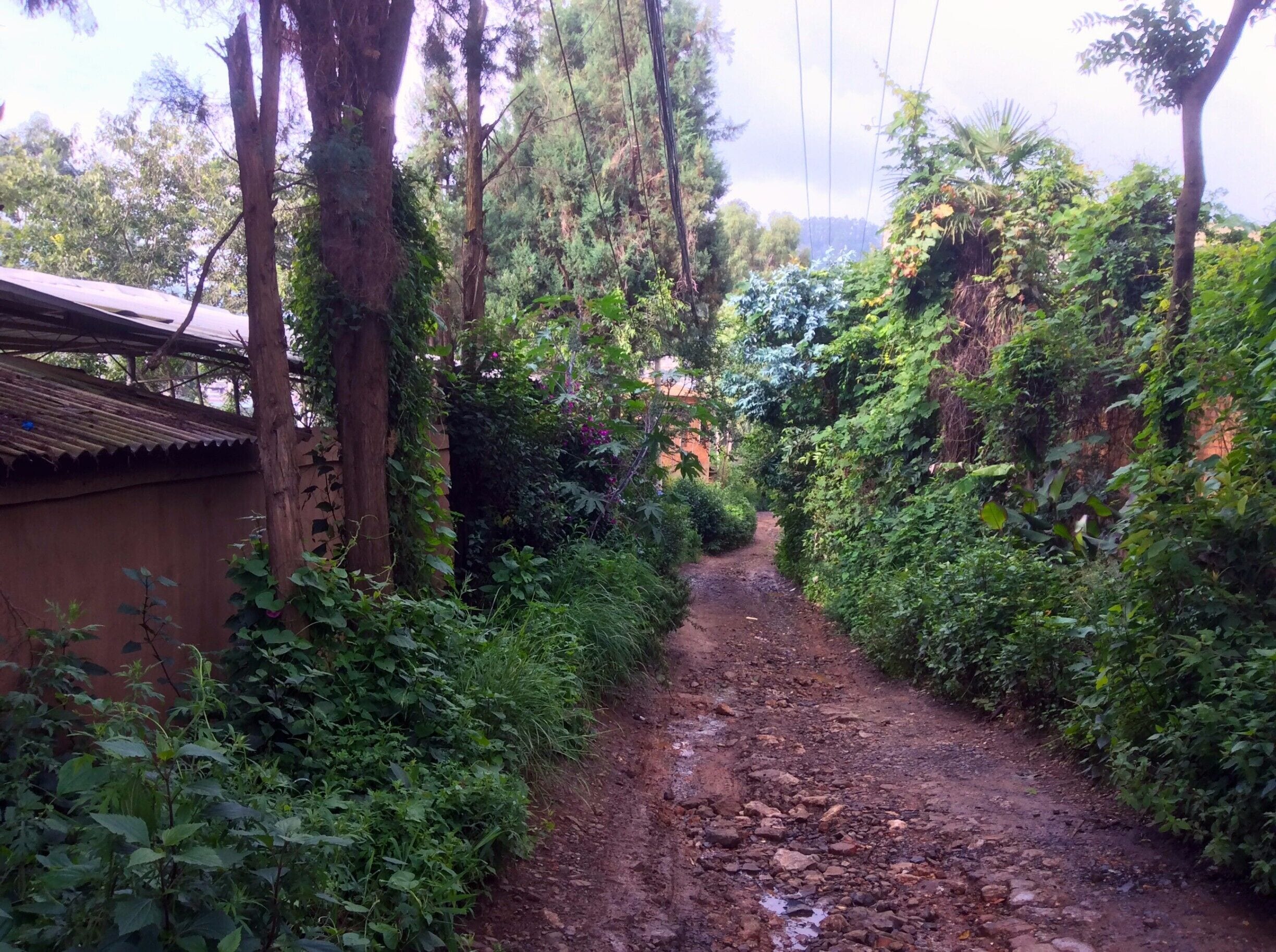 This shot is taken just 3-5 minutes walk from the Longchuan river park of Shangbacun. The road/path is the main road of this small hillside village (the suburbs of Shangbacun?).  

I find myself wondering how different is this alley compared to my childhood home in suburban Edmonton, Alberta, Canada.  And all the people I meet on the road, how different are their thoughts to mine?

“Travel far enough, you meet yourself." - David Mitchel, Cloud Atlas