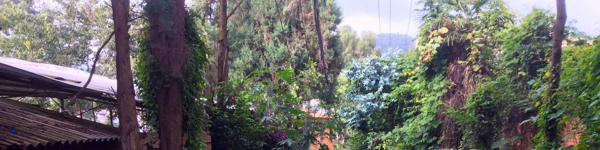 This shot is taken just 3-5 minutes walk from the Longchuan river park of Shangbacun. The road/path is the main road of this small hillside village (the suburbs of Shangbacun?).
I find myself wondering how different is this alley compared to my childhood home in suburban Edmonton, Alberta, Canada. And all the people I meet on the road, how different are their thoughts to mine?
“Travel far enough, you meet yourself." - David Mitchel, Cloud Atlas