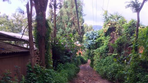 This shot is taken just 3-5 minutes walk from the Longchuan river park of Shangbacun. The road/path is the main road of this small hillside village (the suburbs of Shangbacun?).
I find myself wondering how different is this alley compared to my childhood home in suburban Edmonton, Alberta, Canada. And all the people I meet on the road, how different are their thoughts to mine?
โTravel far enough, you meet yourself." - David Mitchel, Cloud Atlas